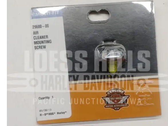 GENUINE HARLEY DAVIDSON AIR CLEANER MOUNTING SCREW 29600-00