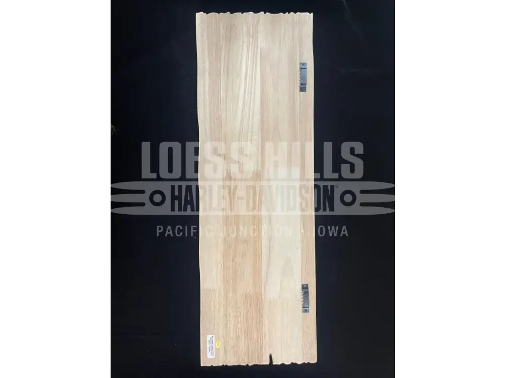 Harley-Davidson Bar & Shield Flames Pub Sign HDL-15328