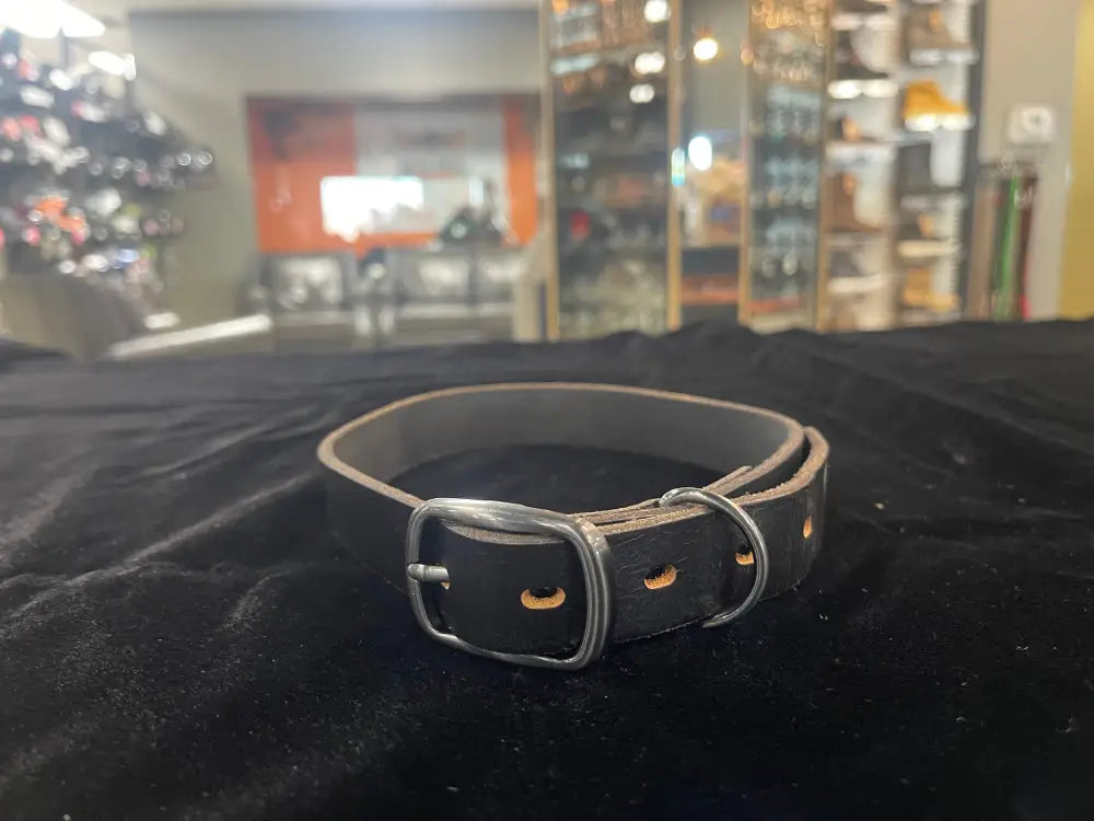 Harley-Davidson Leather Pet Collar L/XL MPC200/08 - Pets