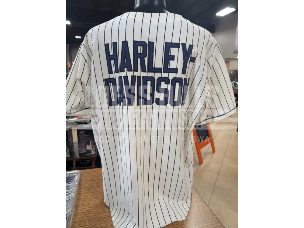 Harley-Davidson Men’s Off-White & Blue Pinstripe Baseball