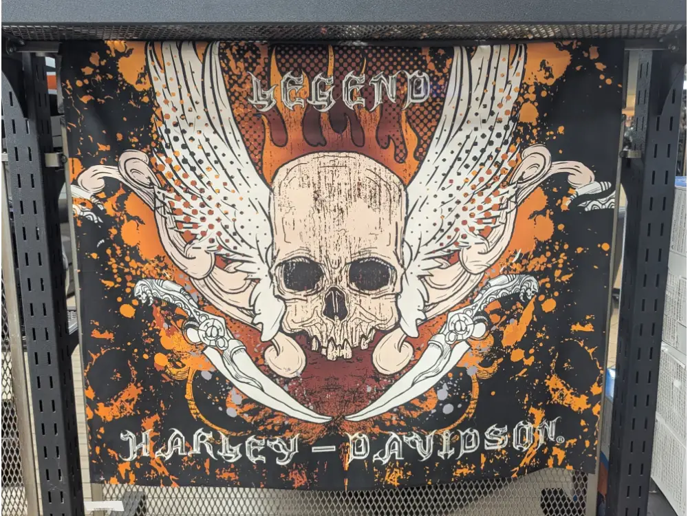 Harley-Davidson Snake and Skull Tapestry 1HDM/T1200/3