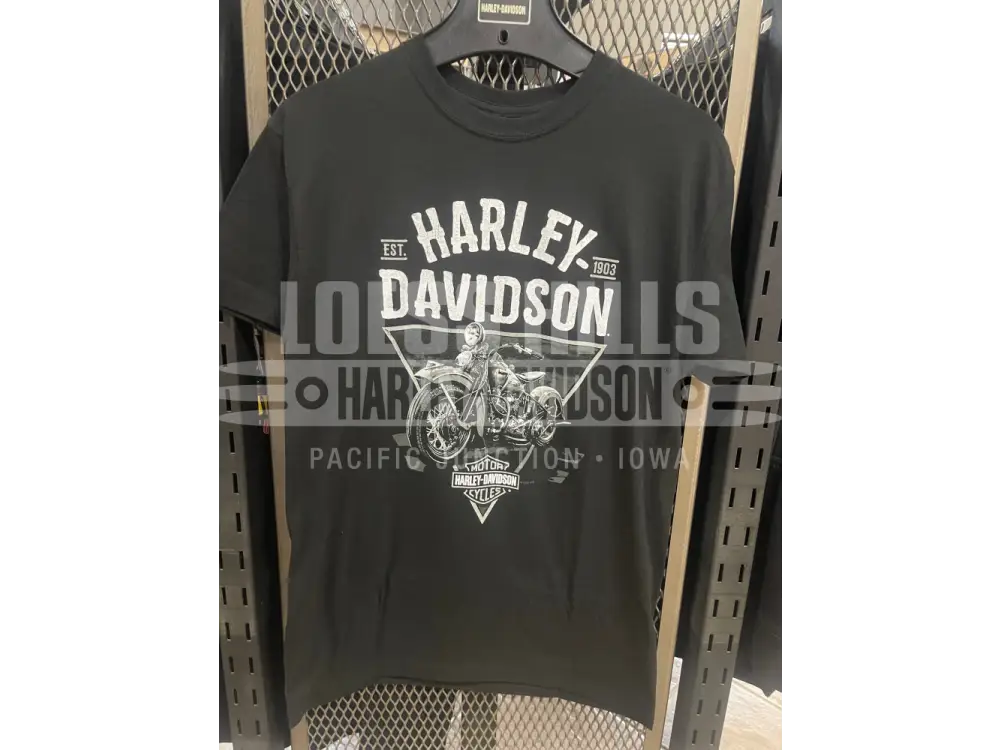 Men’s H-D The Classics T-shirt 40291443 - Men’s T-shirt