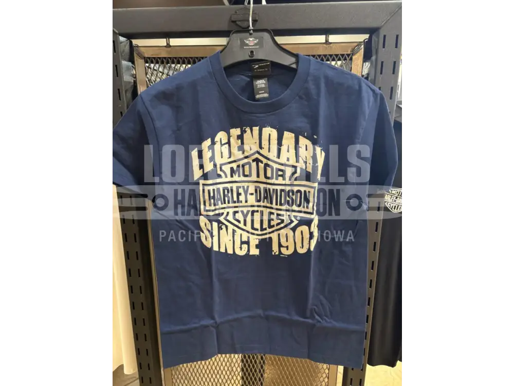 Men’s Harley Davidson Navy Grunge 300698 - Men’s T-shirt