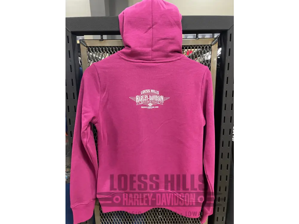 Women’s Boysenberry 1903 Pennant Pullover Hoodie 3002925