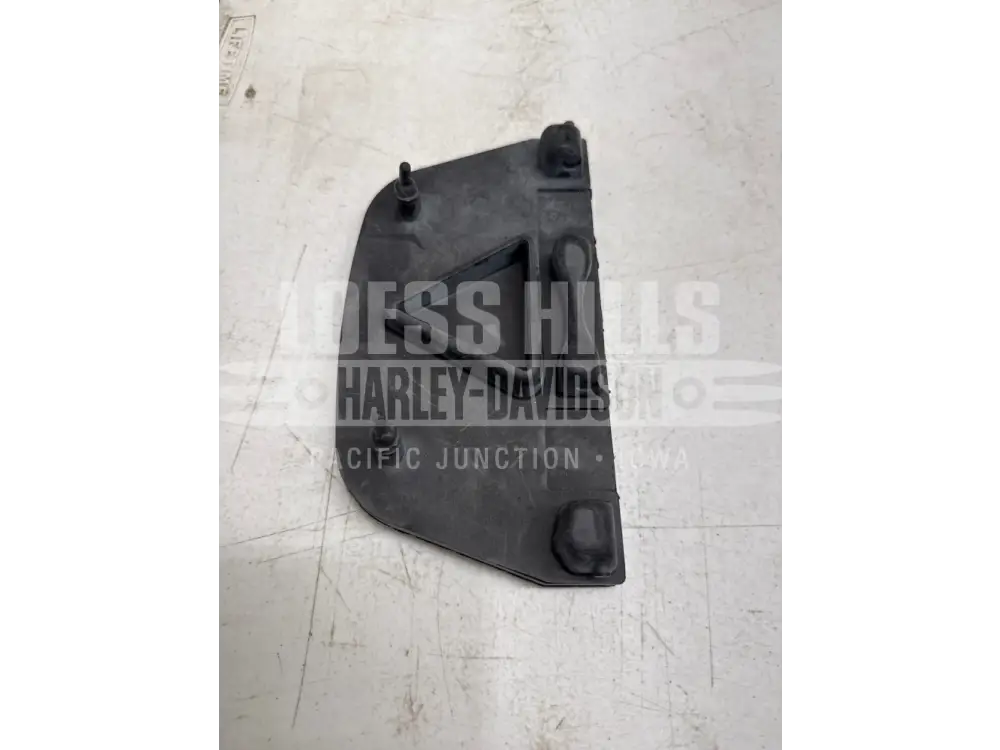 GENUINE HARLEY-DAVIDSON - PASSENGER FLOORBOARD INSERTS