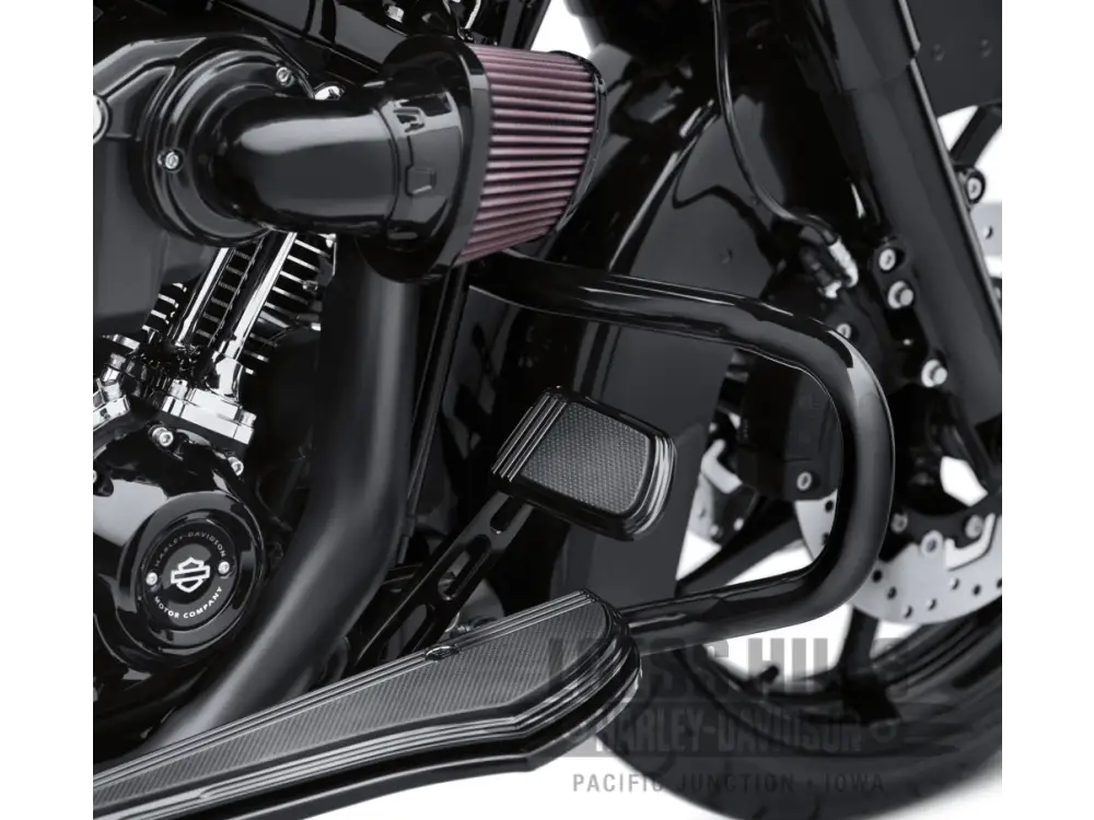 HARLEY DAVIDSON Chopped Engine Guard - 49000117A - ENGINE