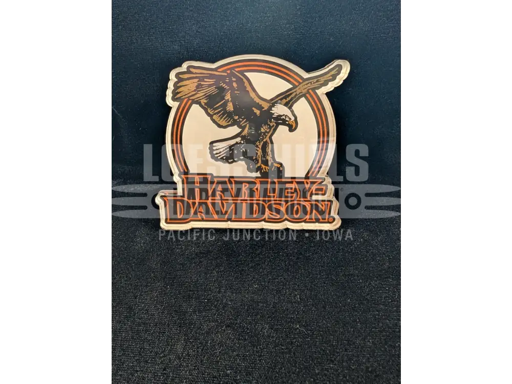 Harley-Davidson Eagle Eye H-D Script Magnet 8016821