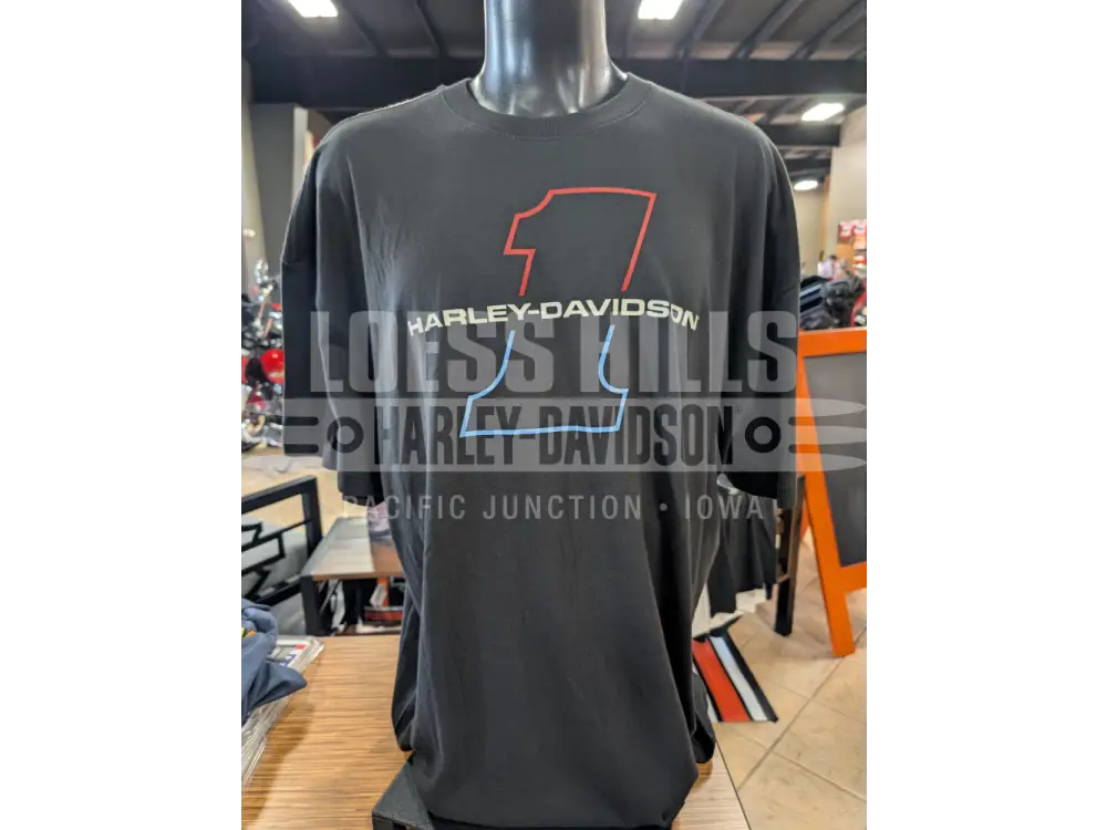 Harley-Davidson Men’s 250 Years of Freedom T-shirt
