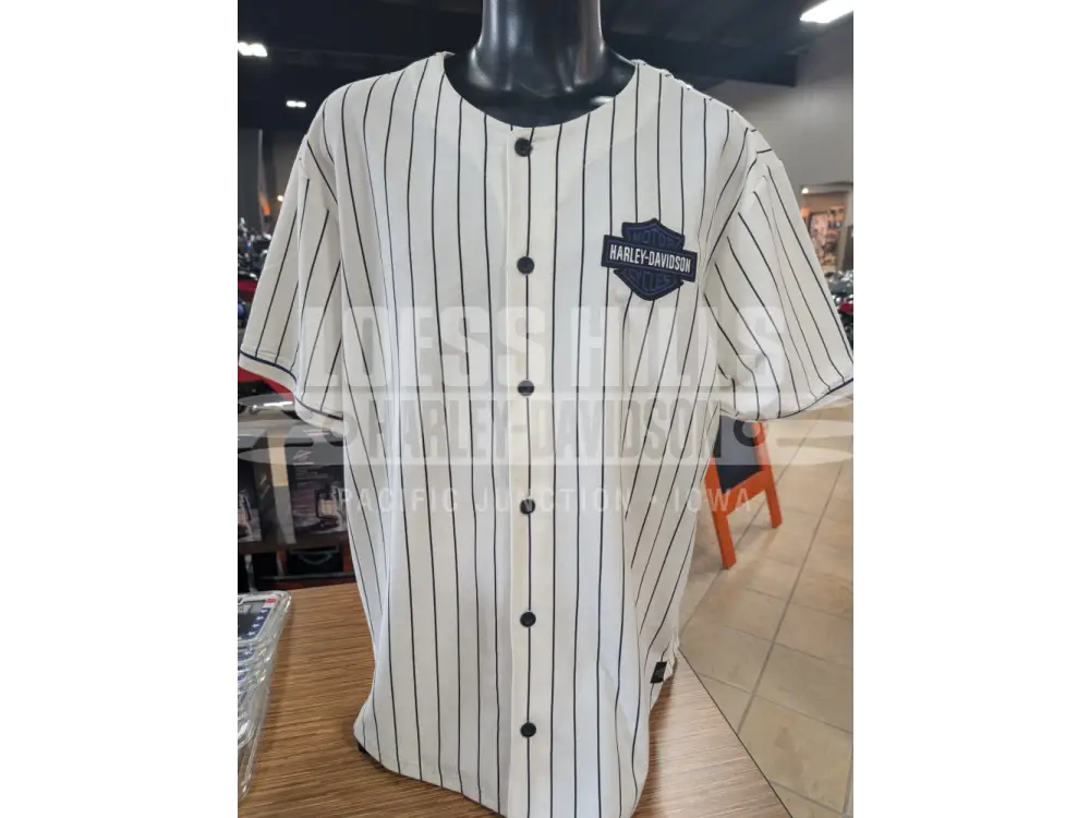 Harley-Davidson Men’s Off-White & Blue Pinstripe Baseball