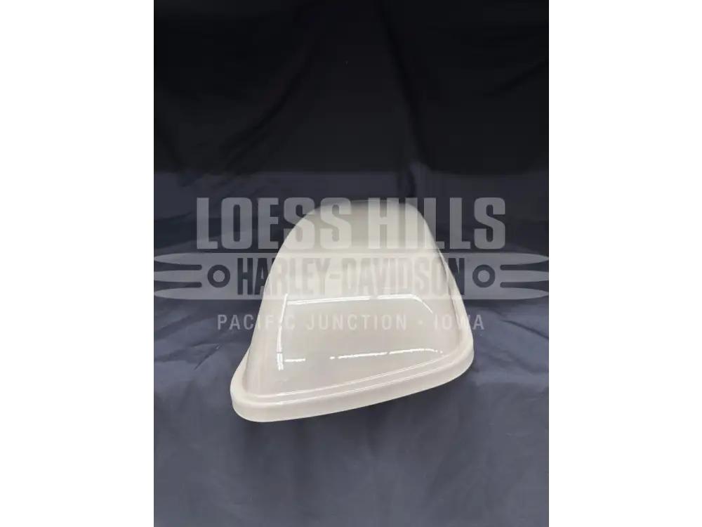 Harley Davidson OEM 14-20 TOURING LEFT SIDE ABS SADDLEBAG