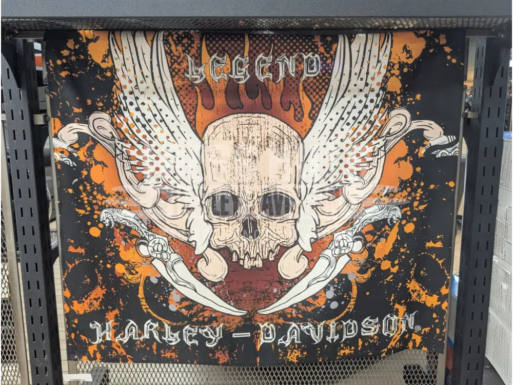 Harley-Davidson Snake and Skull Tapestry 1HDM/T1200/3