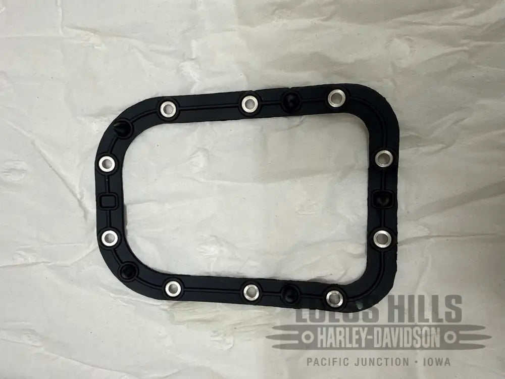 Harley Davidson Softail Fat Boy Special Matte Black Fuel