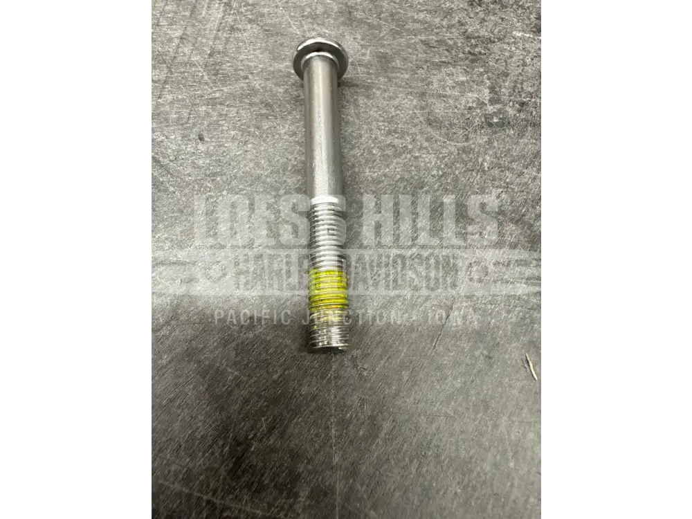 HD Willie G Skull Shifter Peg - 34689-04 - FOOTPEG