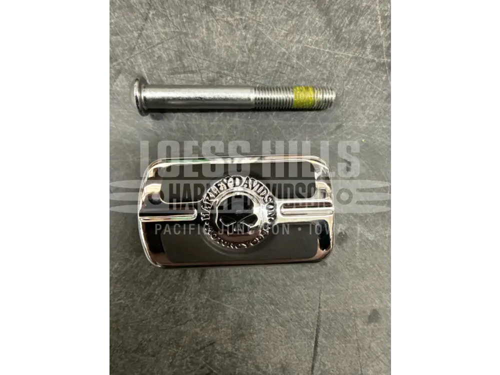HD Willie G Skull Shifter Peg - 34689-04 - FOOTPEG