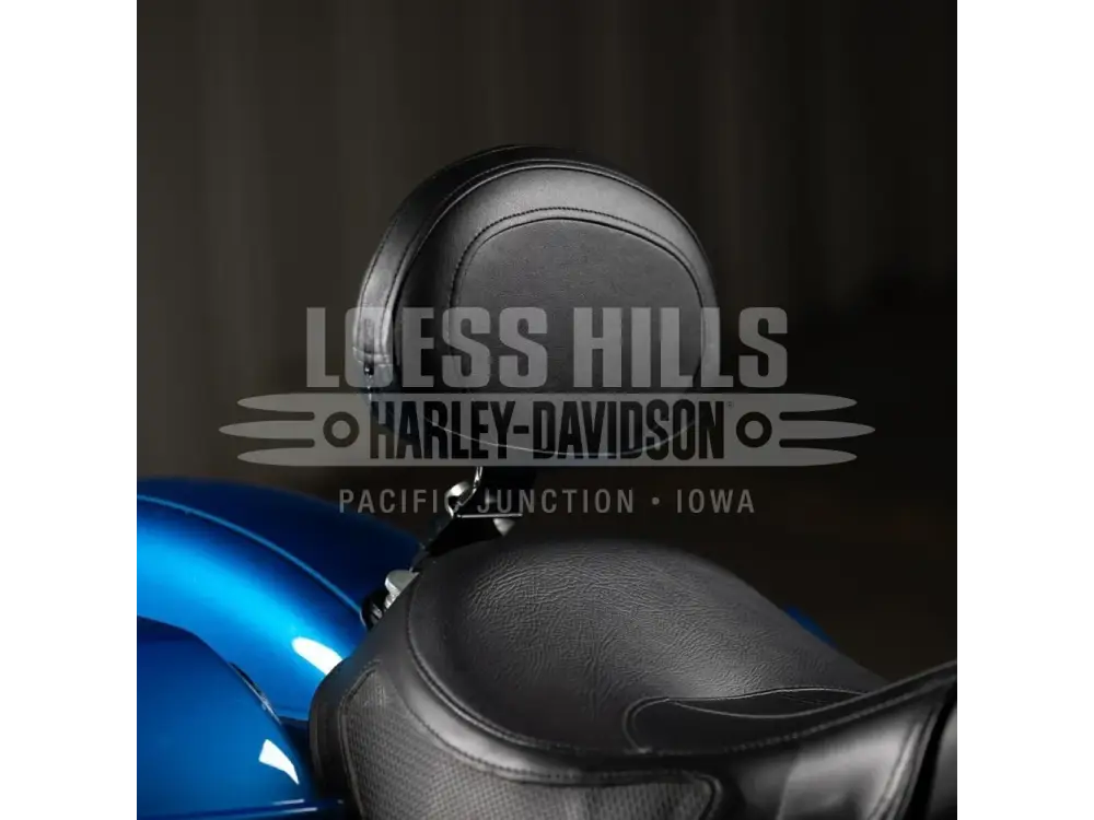 HOGWORKZ Driver/Rider Backrest for Harley® Softail ’07-’25