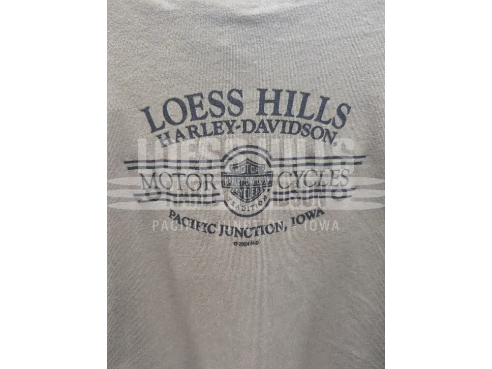 Loess Hills Harley-Davidson Boy’s Dragon T-shirt 3003328