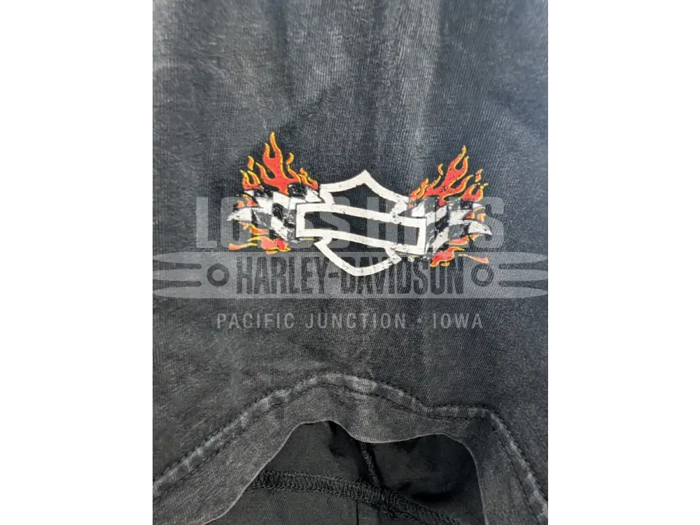 Loess Hills Harley-Davidson Men’s Checker Flame T-shirt