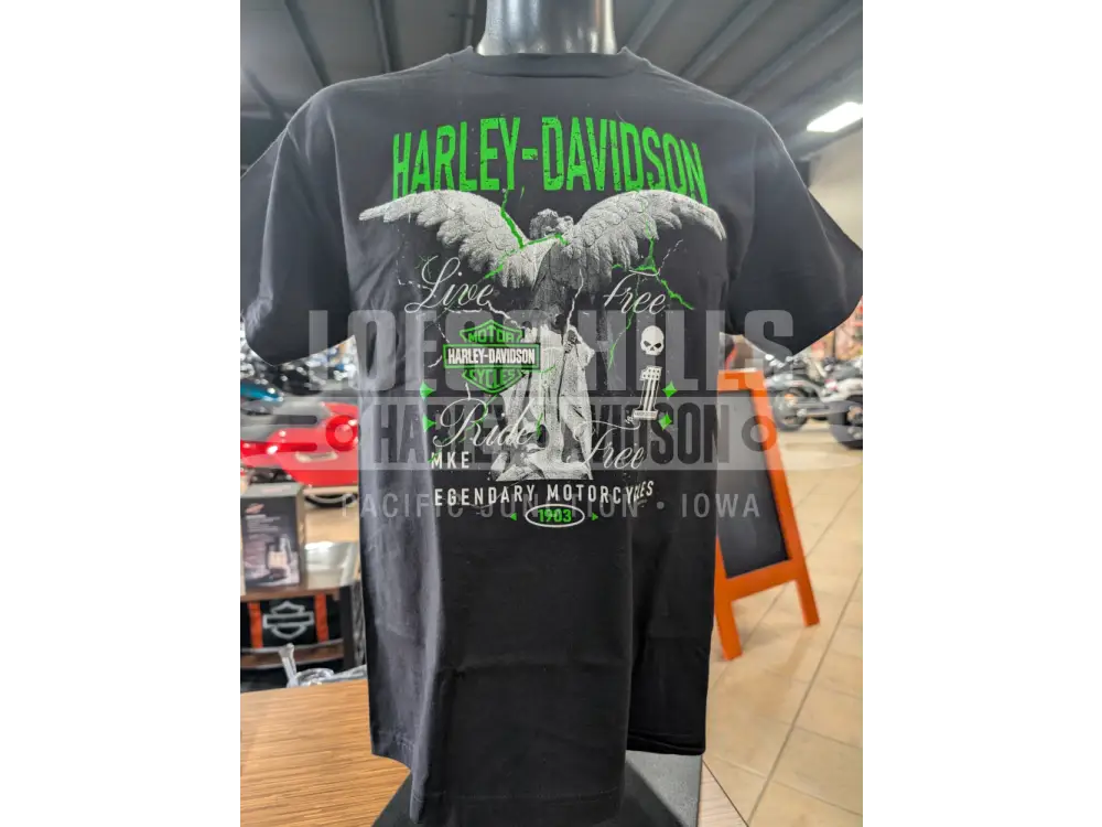 Loess Hills Harley-Davidson Men’s Stone Wings T-shirt