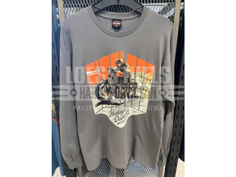 Men’s Grey HD Cruisin’ Longsleeve T-shirt 40291809 - Men’s