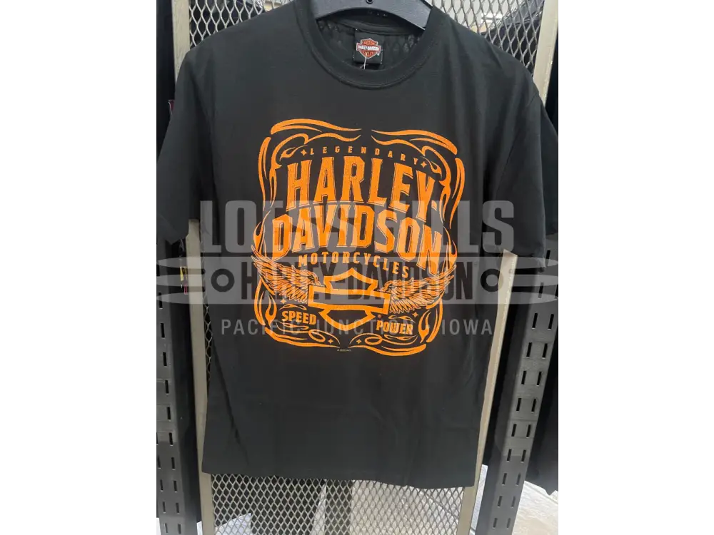 Men’s H-D Aurora T-shirt 40291883 - Men’s T-shirt