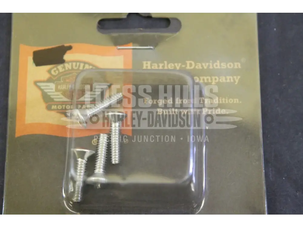 NEW OEM Harley Davidson Master Cylinder Cover Screws Kit
