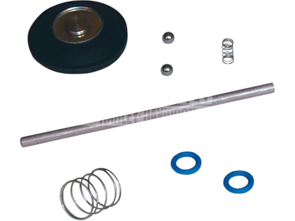 S&S CYCLE Accelerator Pump Rebuild Kit - DS-289113 - CARB
