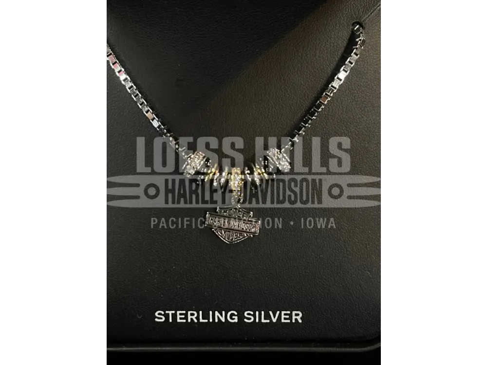 Women’s Harley-Davidson Round Link Logo Necklace 34N00168