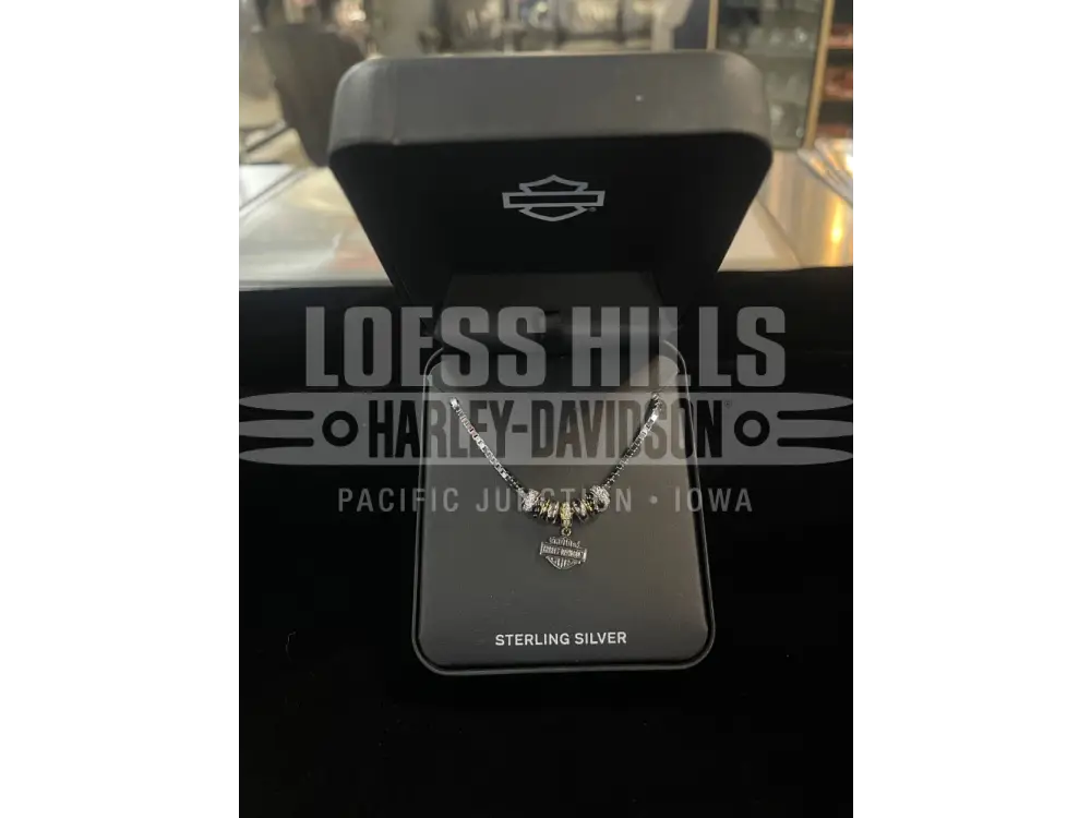 Women’s Harley-Davidson Round Link Logo Necklace 34N00168